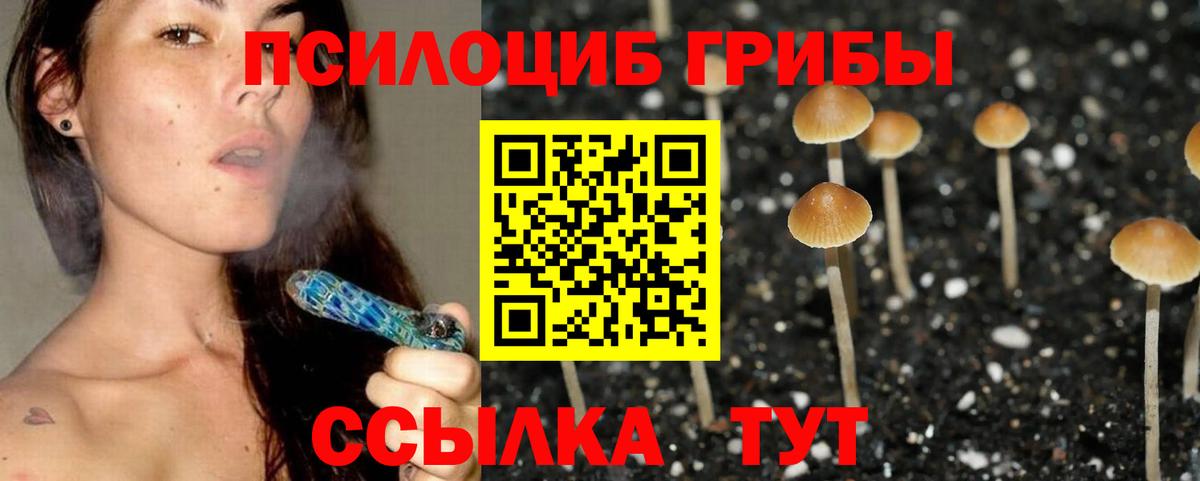 Псилоцибиновые грибы мухоморы  Вход с VPN  Прохладный 