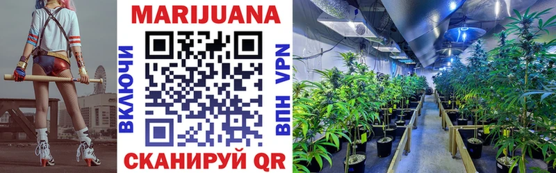 Шишки марихуана SATIVA & INDICA  Прохладный 